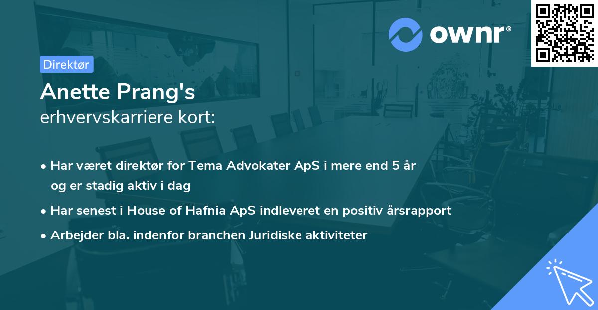 Anette Prang's erhvervskarriere kort