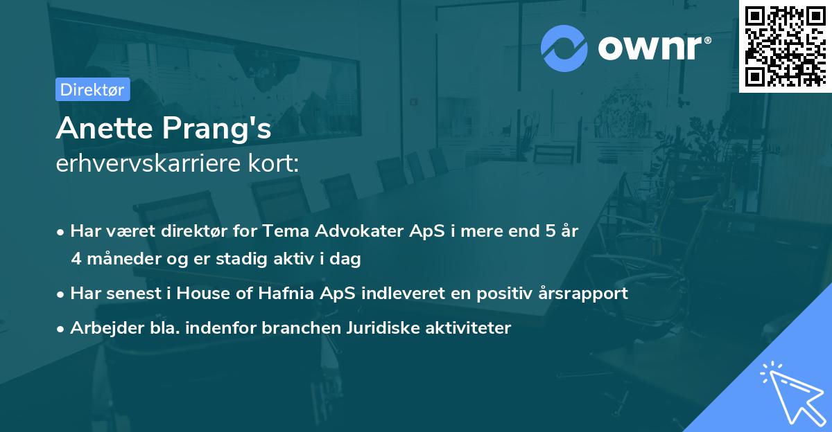 Anette Prang's erhvervskarriere kort