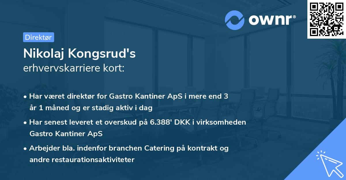 Nikolaj Kongsrud's erhvervskarriere kort