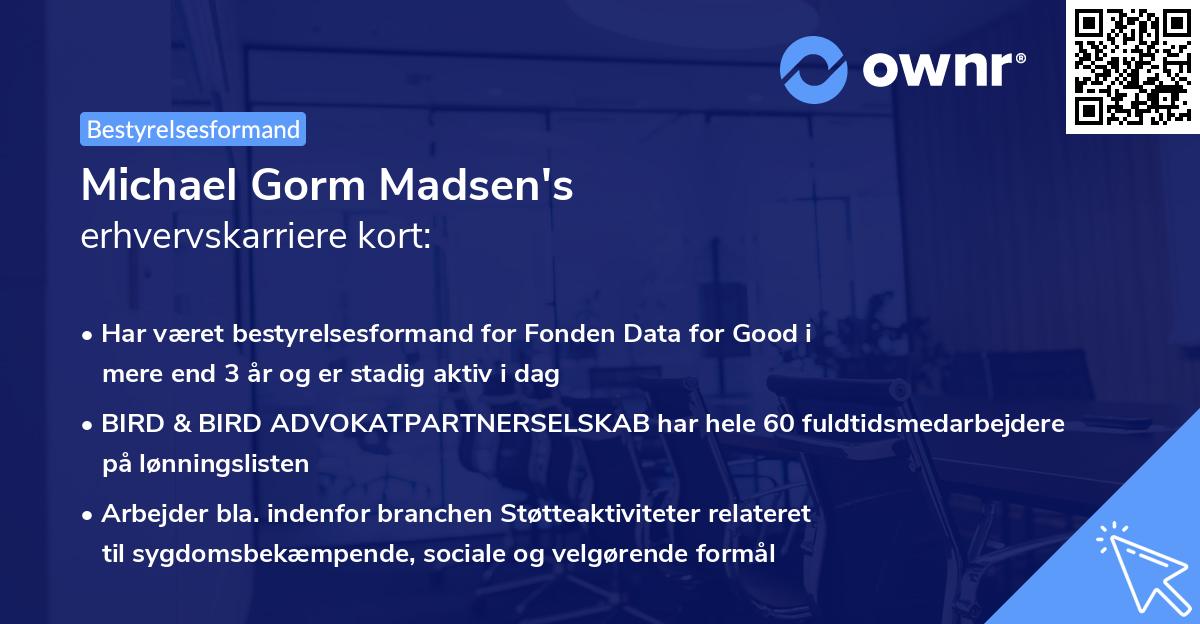 Michael Gorm Madsen's erhvervskarriere kort