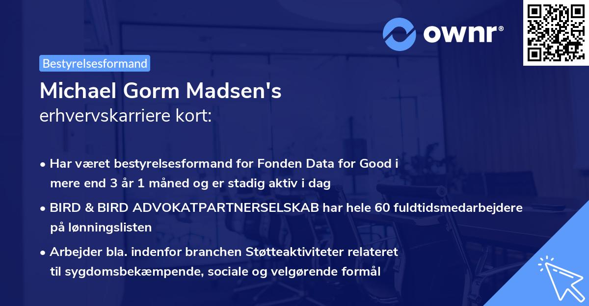 Michael Gorm Madsen's erhvervskarriere kort