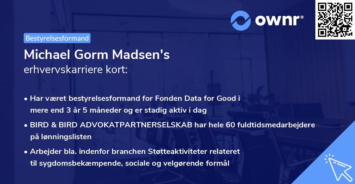 Michael Gorm Madsen's erhvervskarriere kort