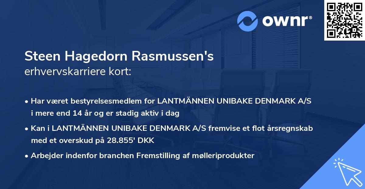 Steen Hagedorn Rasmussen's erhvervskarriere kort