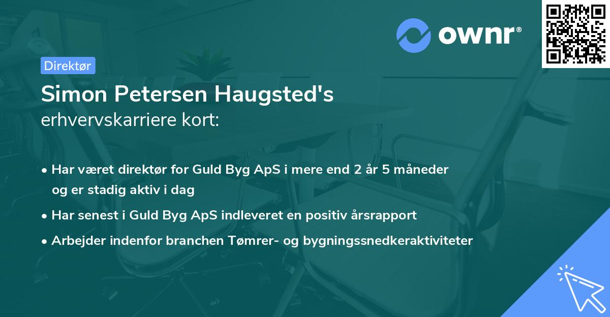 Simon Petersen Haugsted's erhvervskarriere kort
