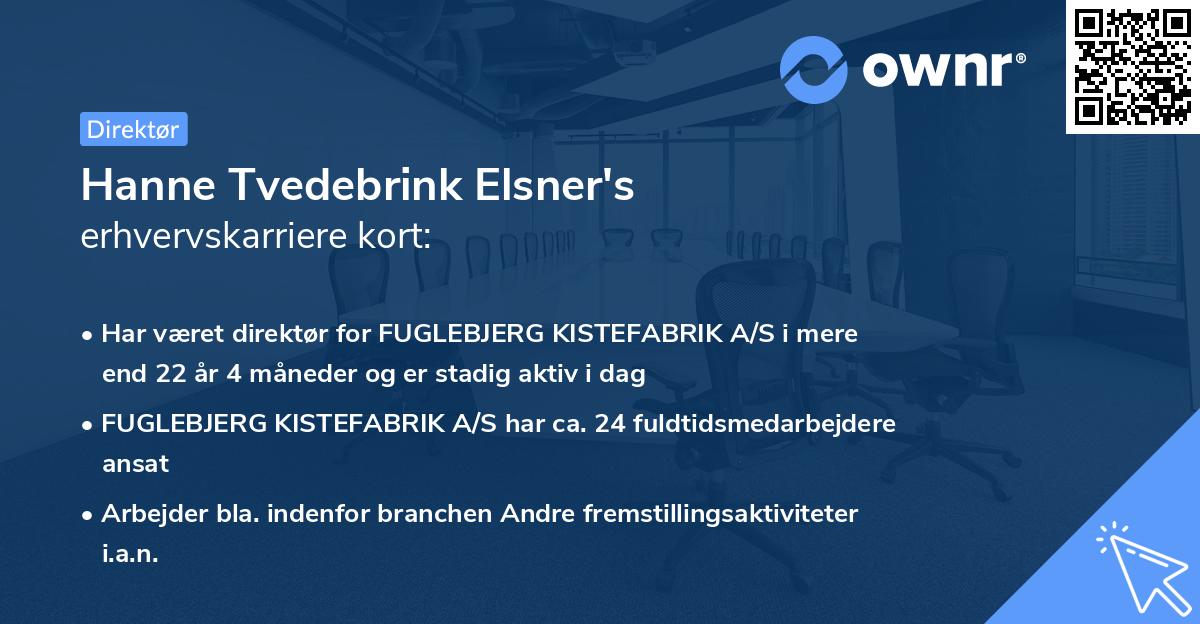 Hanne Tvedebrink Elsner's erhvervskarriere kort