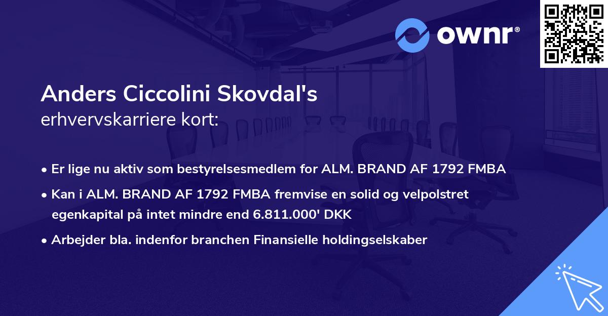 Anders Ciccolini Skovdal's erhvervskarriere kort