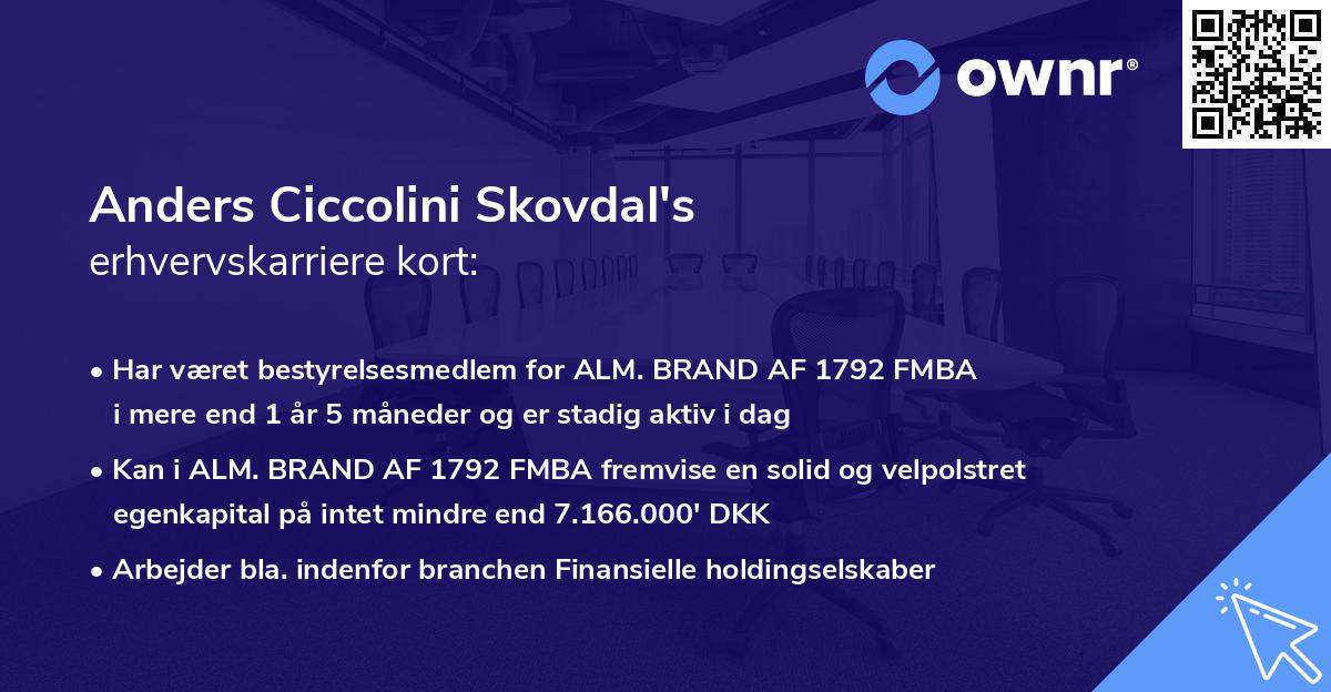 Anders Ciccolini Skovdal's erhvervskarriere kort