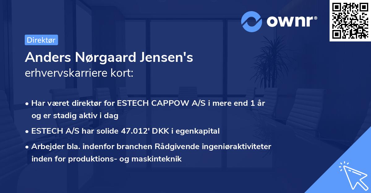 Anders Nørgaard Jensen's erhvervskarriere kort