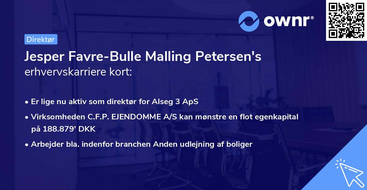 Jesper Favre-Bulle Malling Petersen's erhvervskarriere kort
