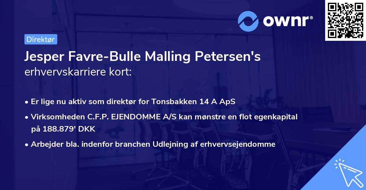 Jesper Favre-Bulle Malling Petersen's erhvervskarriere kort