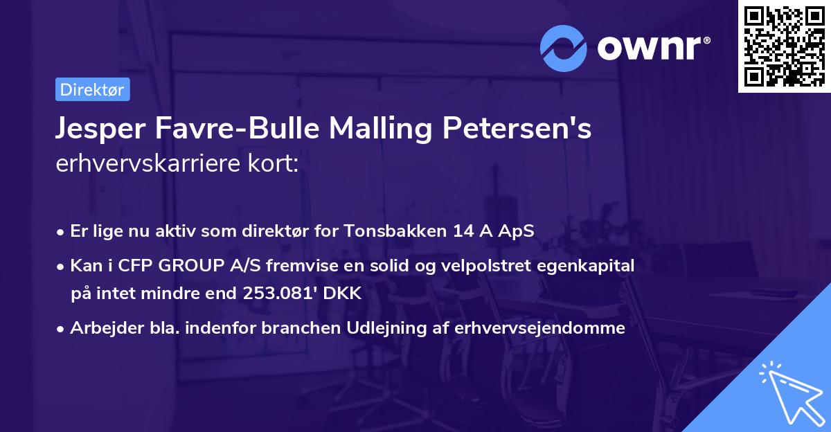 Jesper Favre-Bulle Malling Petersen's erhvervskarriere kort