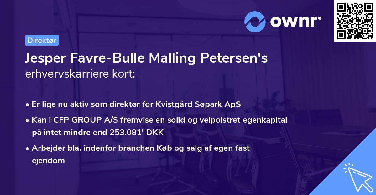 Jesper Favre-Bulle Malling Petersen's erhvervskarriere kort