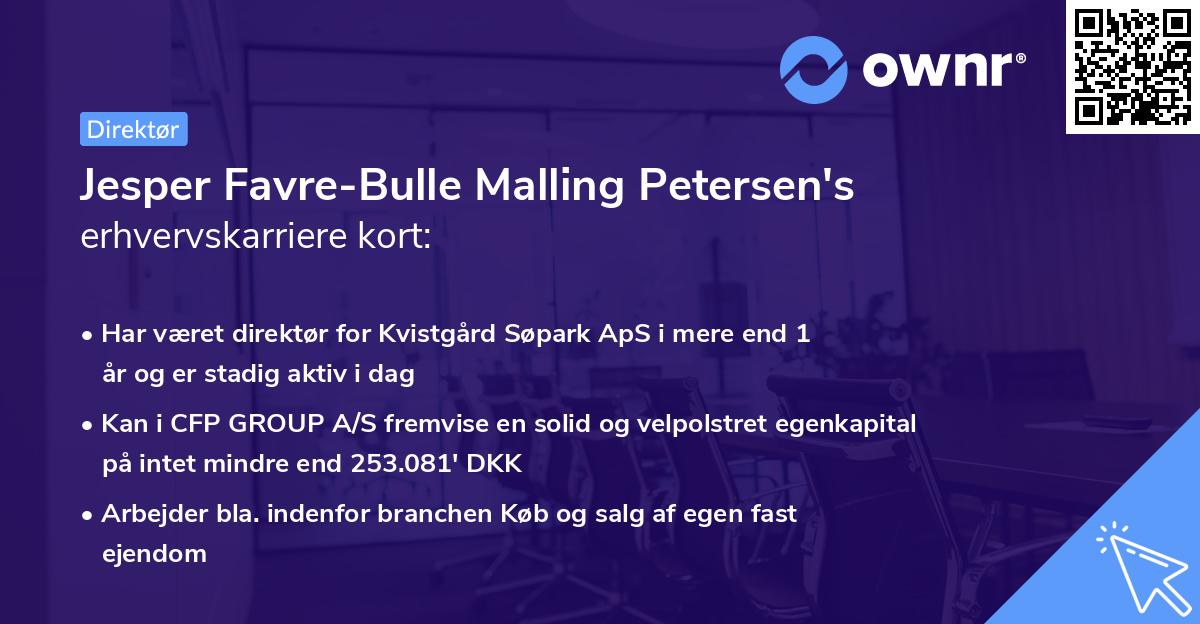Jesper Favre-Bulle Malling Petersen's erhvervskarriere kort