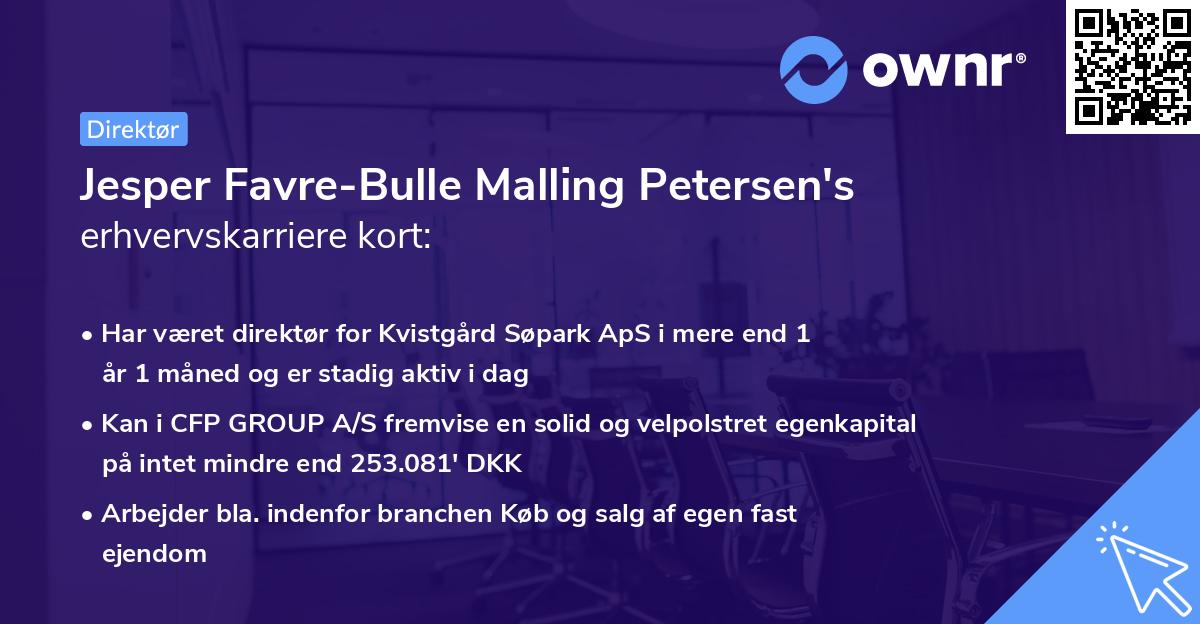 Jesper Favre-Bulle Malling Petersen's erhvervskarriere kort