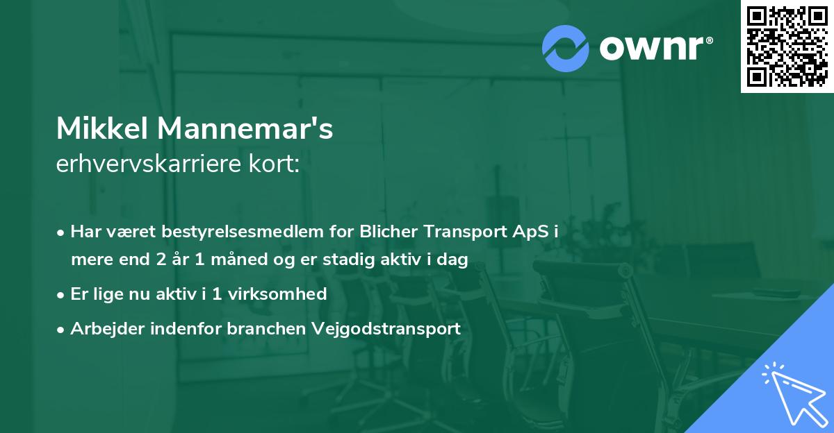 Mikkel Mannemar's erhvervskarriere kort
