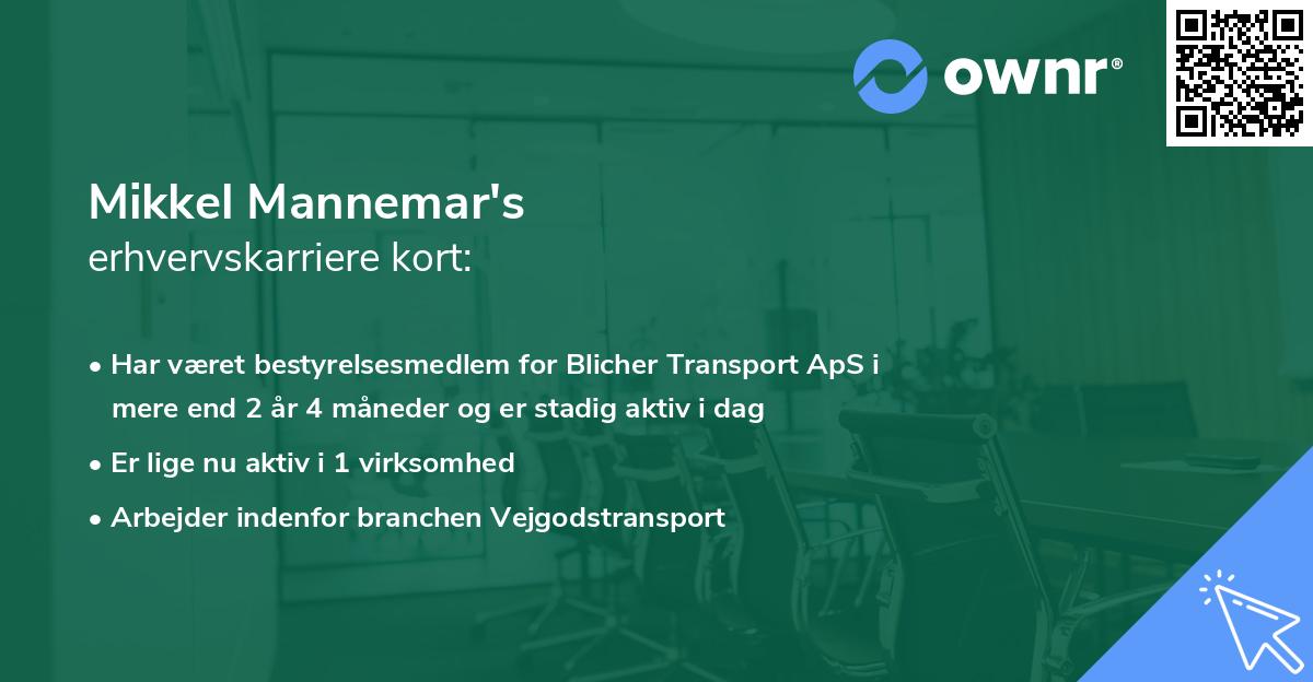 Mikkel Mannemar's erhvervskarriere kort