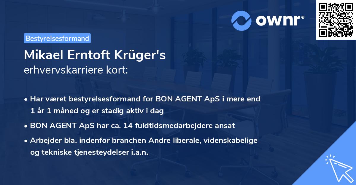 Mikael Erntoft Krüger's erhvervskarriere kort