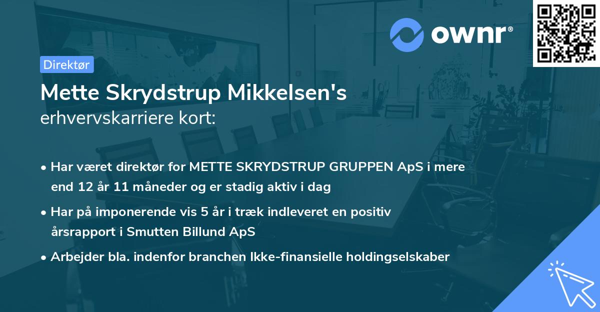 Mette Skrydstrup Mikkelsen's erhvervskarriere kort