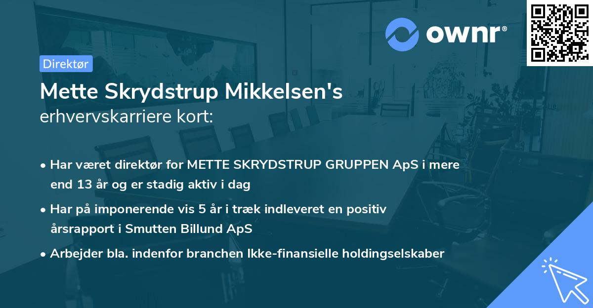 Mette Skrydstrup Mikkelsen's erhvervskarriere kort