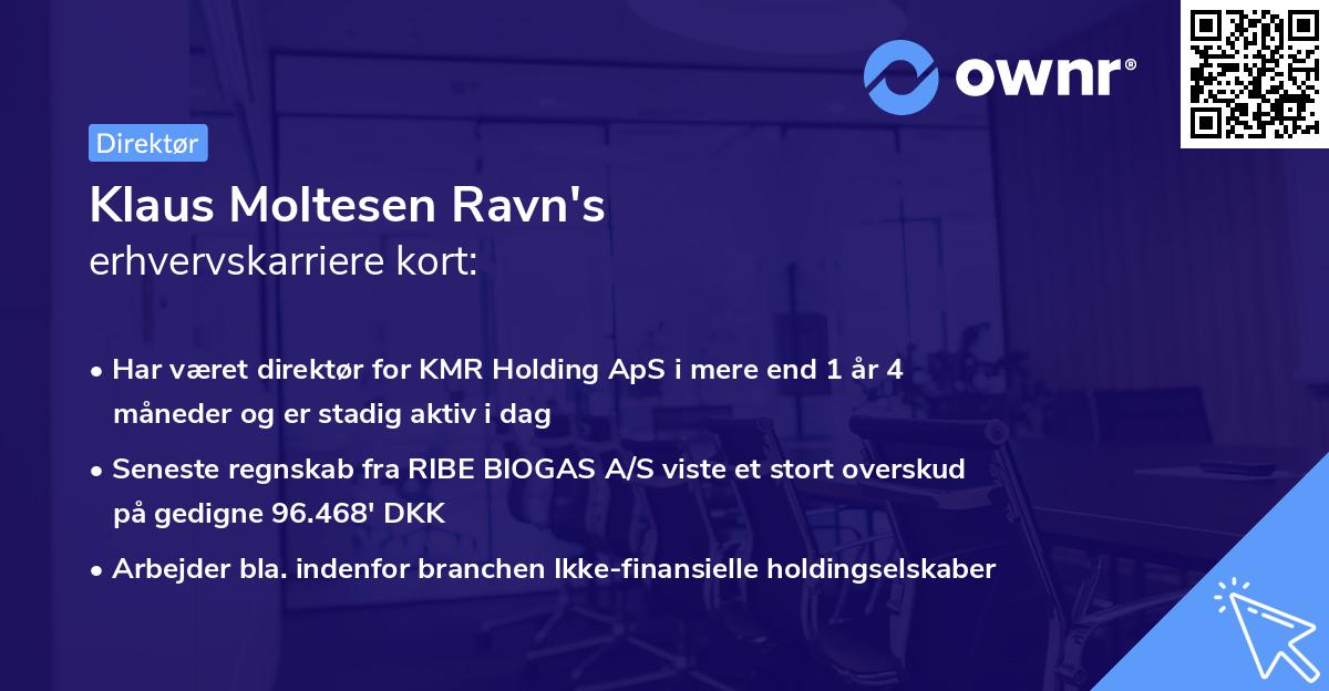 Klaus Moltesen Ravn's erhvervskarriere kort