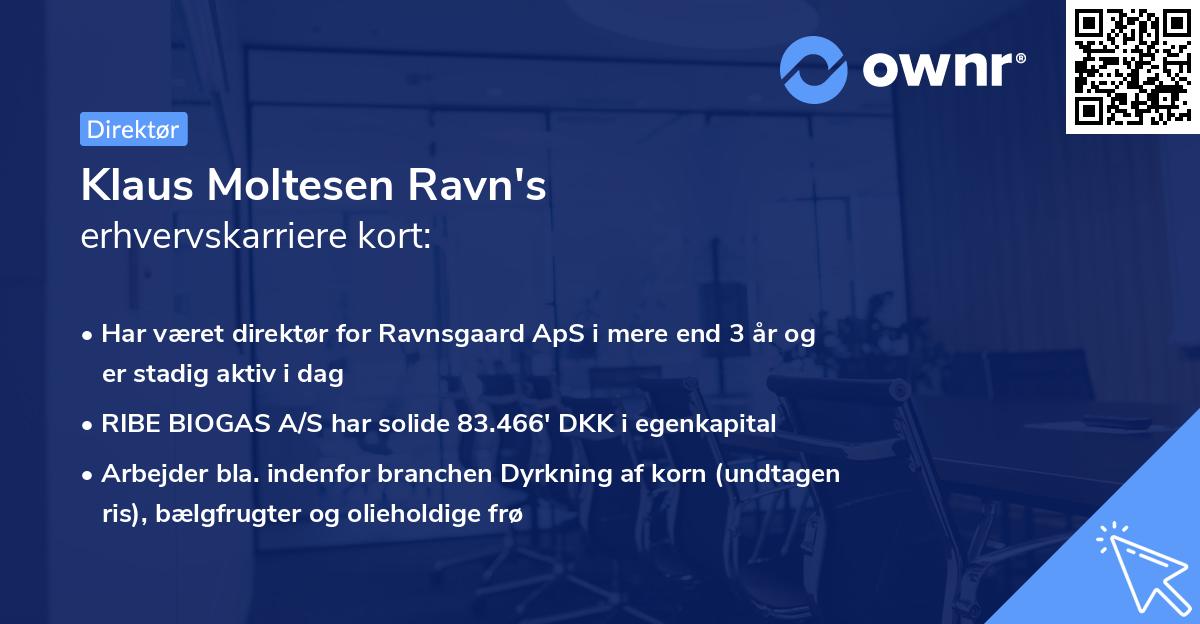 Klaus Moltesen Ravn's erhvervskarriere kort