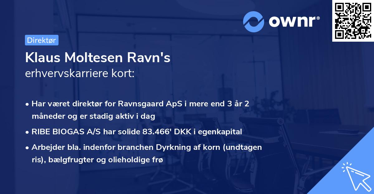 Klaus Moltesen Ravn's erhvervskarriere kort