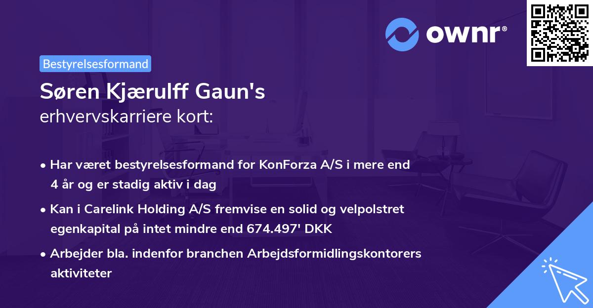Søren Kjærulff Gaun's erhvervskarriere kort