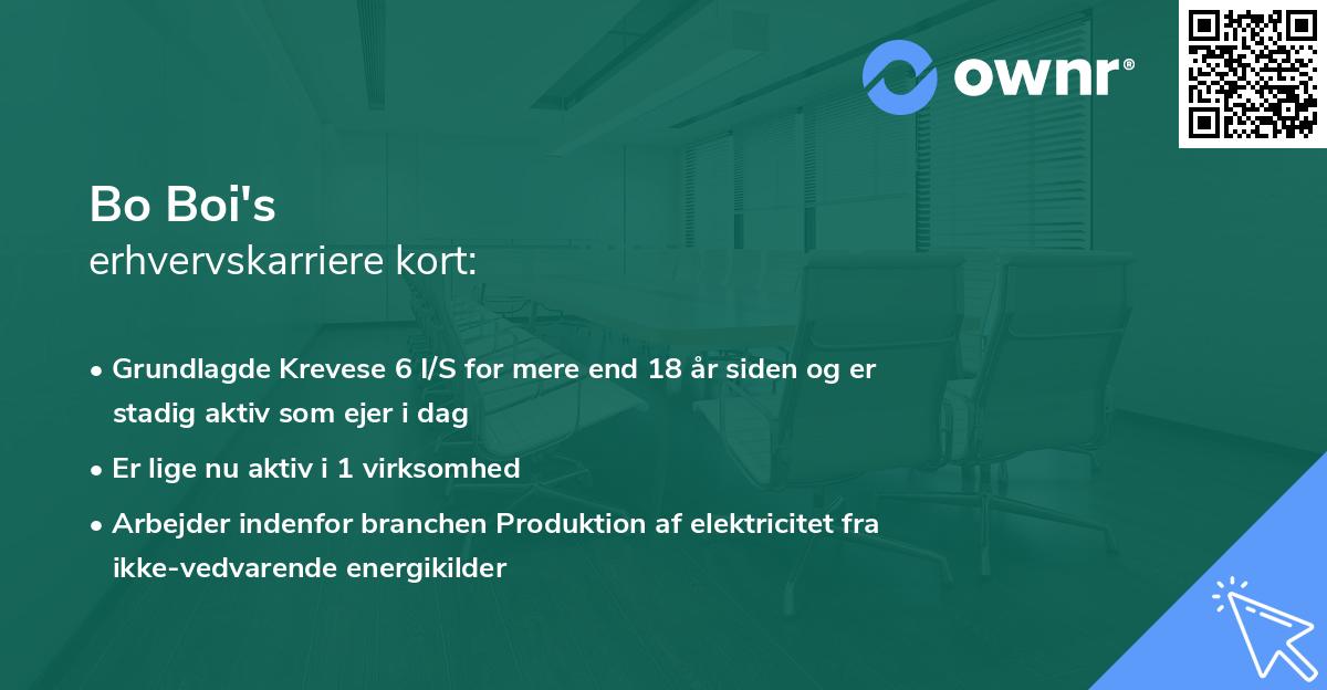Bo Boi's erhvervskarriere kort