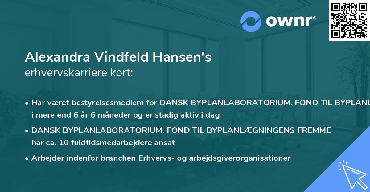 Alexandra Vindfeld Hansen's erhvervskarriere kort