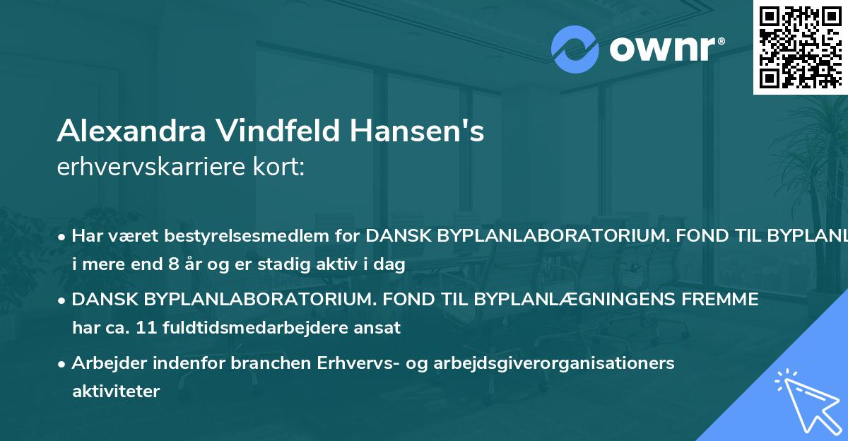 Alexandra Vindfeld Hansen's erhvervskarriere kort
