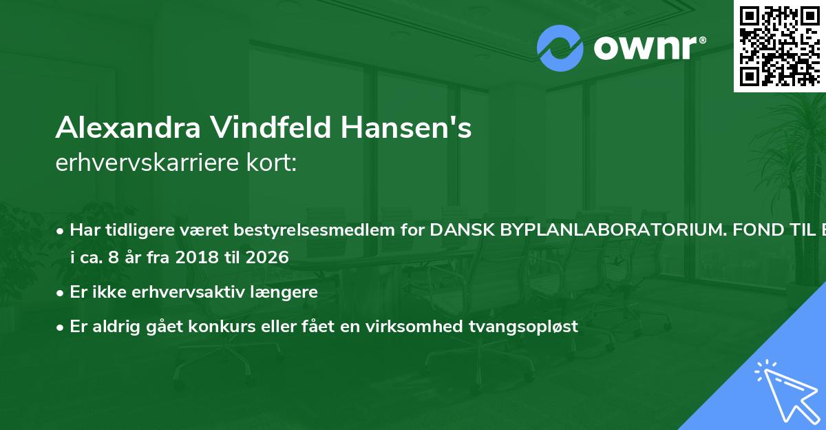 Alexandra Vindfeld Hansen's erhvervskarriere kort