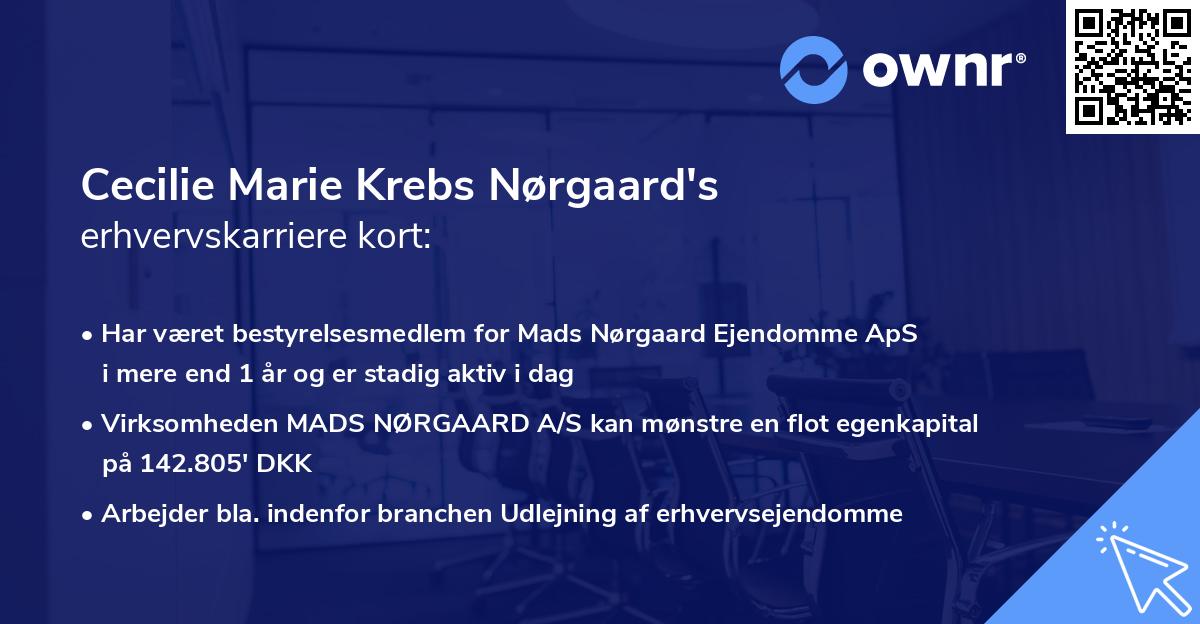 Cecilie Marie Krebs Nørgaard's erhvervskarriere kort