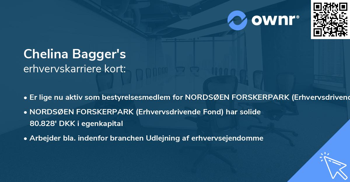 Chelina Bagger's erhvervskarriere kort