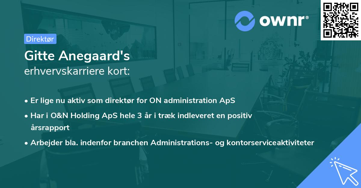 Gitte Anegaard's erhvervskarriere kort