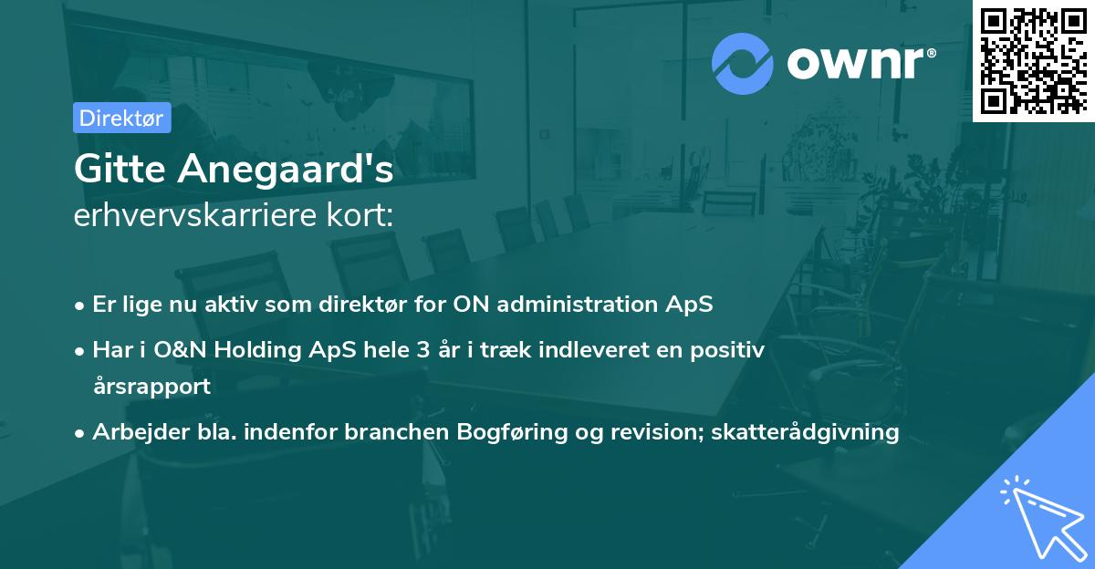 Gitte Anegaard's erhvervskarriere kort