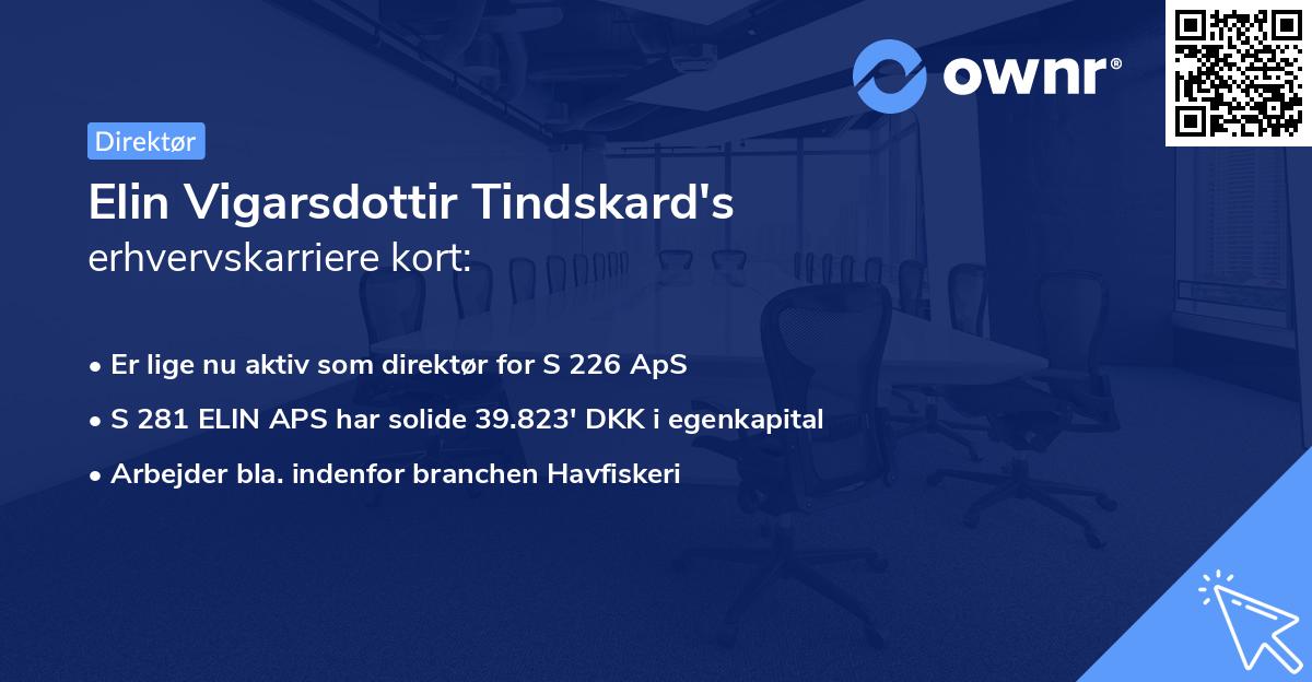 Elin Vigarsdottir Tindskard's erhvervskarriere kort
