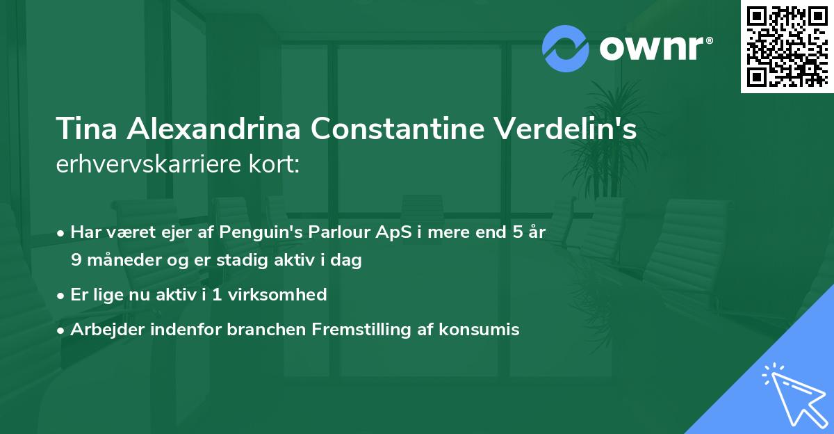 Tina Alexandrina Constantine Verdelin's erhvervskarriere kort
