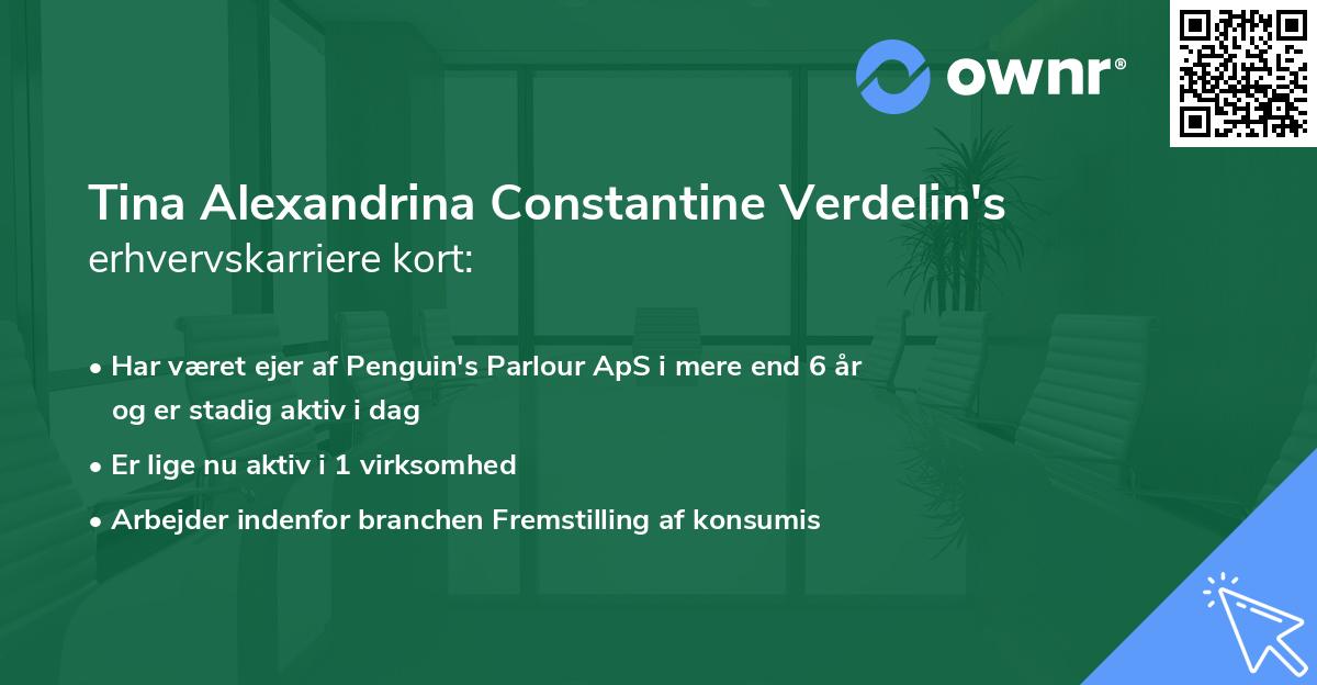 Tina Alexandrina Constantine Verdelin's erhvervskarriere kort