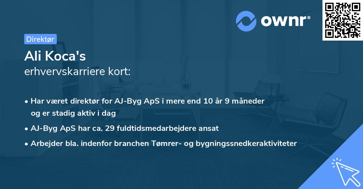 Ali Koca's erhvervskarriere kort