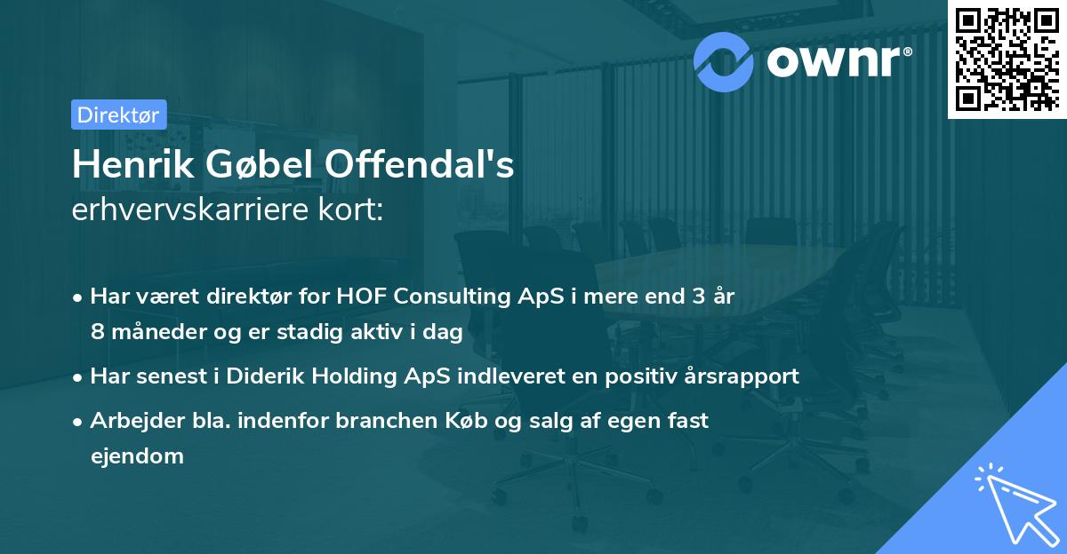 Henrik Gøbel Offendal's erhvervskarriere kort