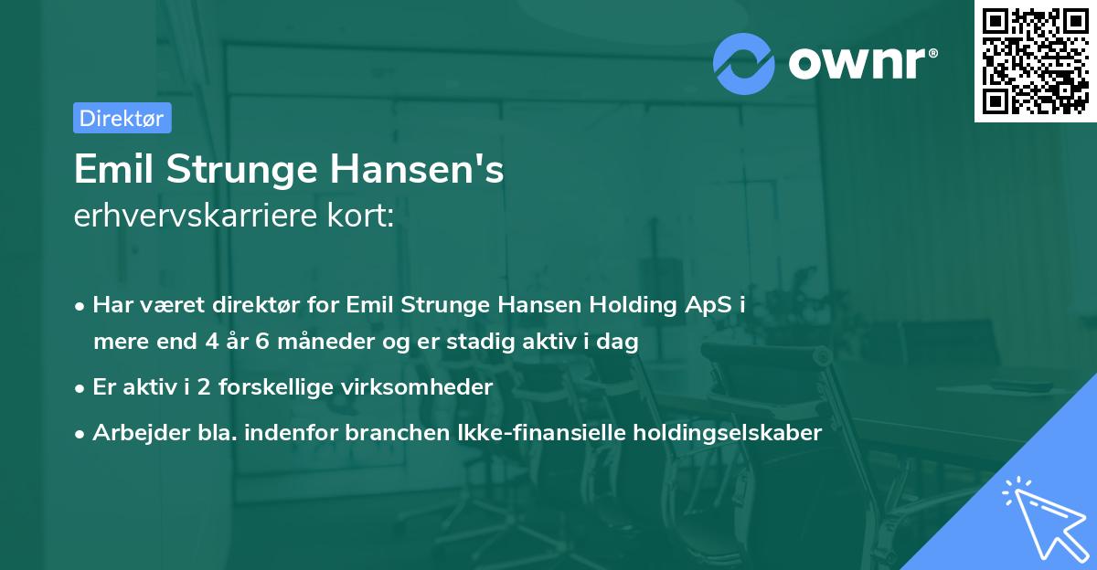 Emil Strunge Hansen's erhvervskarriere kort