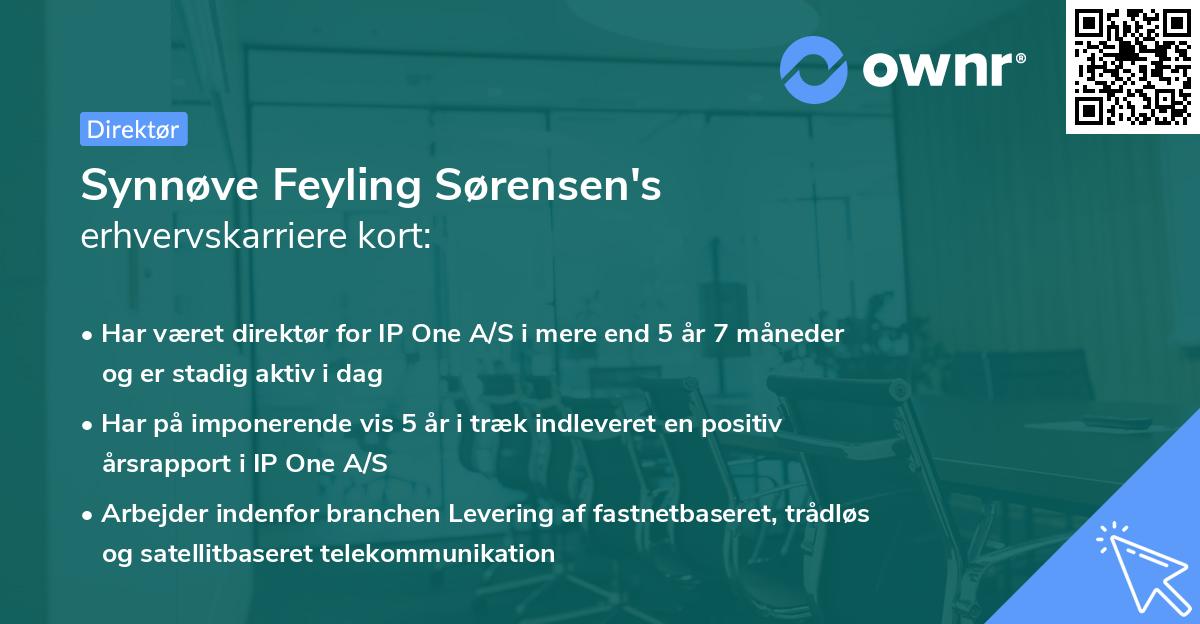 Synnøve Feyling Sørensen's erhvervskarriere kort