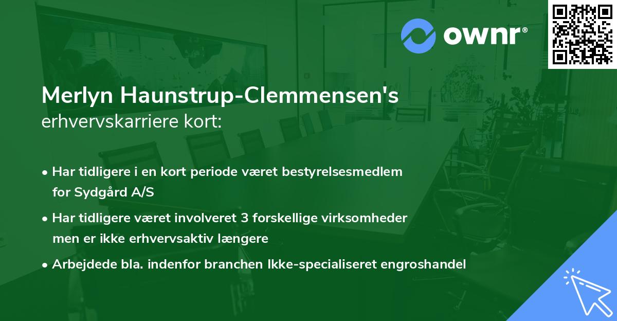 Merlyn Haunstrup-Clemmensen's erhvervskarriere kort
