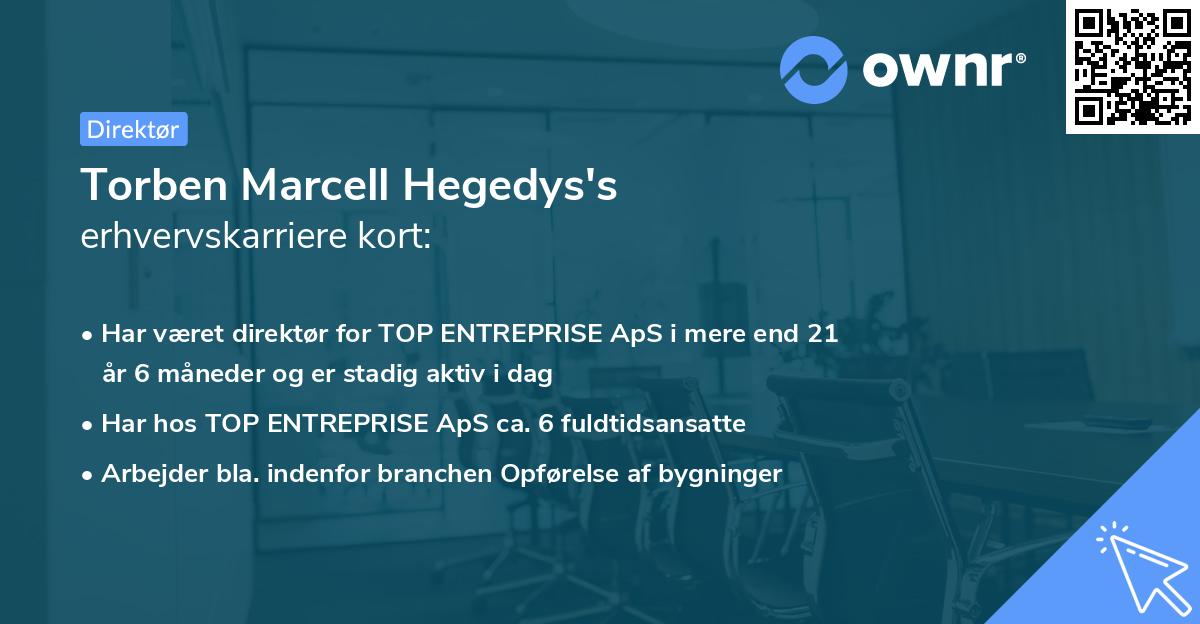 Torben Marcell Hegedys's erhvervskarriere kort