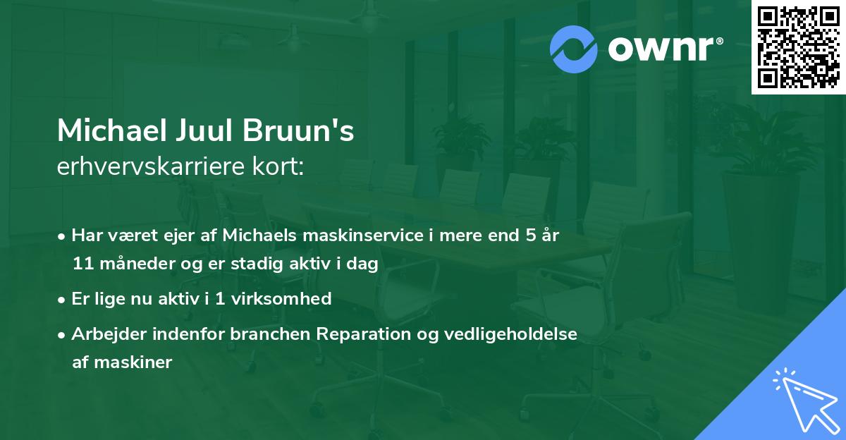 Michael Juul Bruun's erhvervskarriere kort