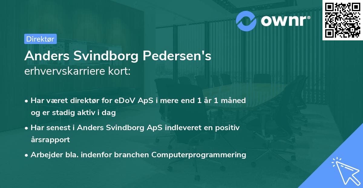 Anders Svindborg Pedersen's erhvervskarriere kort