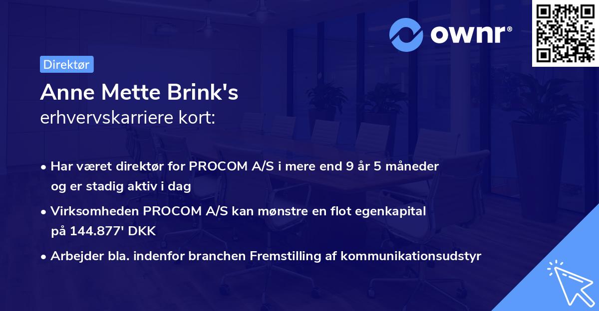 Anne Mette Brink's erhvervskarriere kort