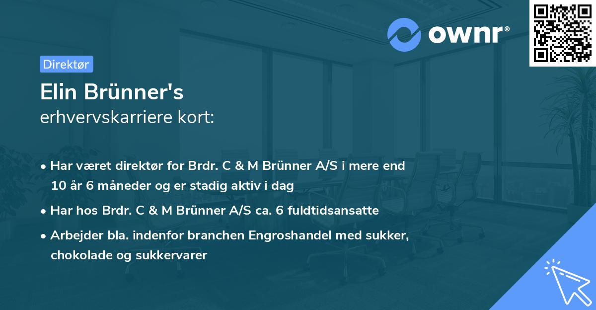 Elin Brünner's erhvervskarriere kort