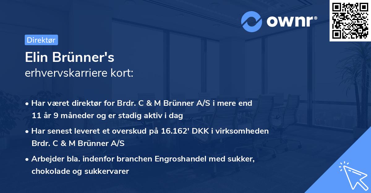Elin Brünner's erhvervskarriere kort