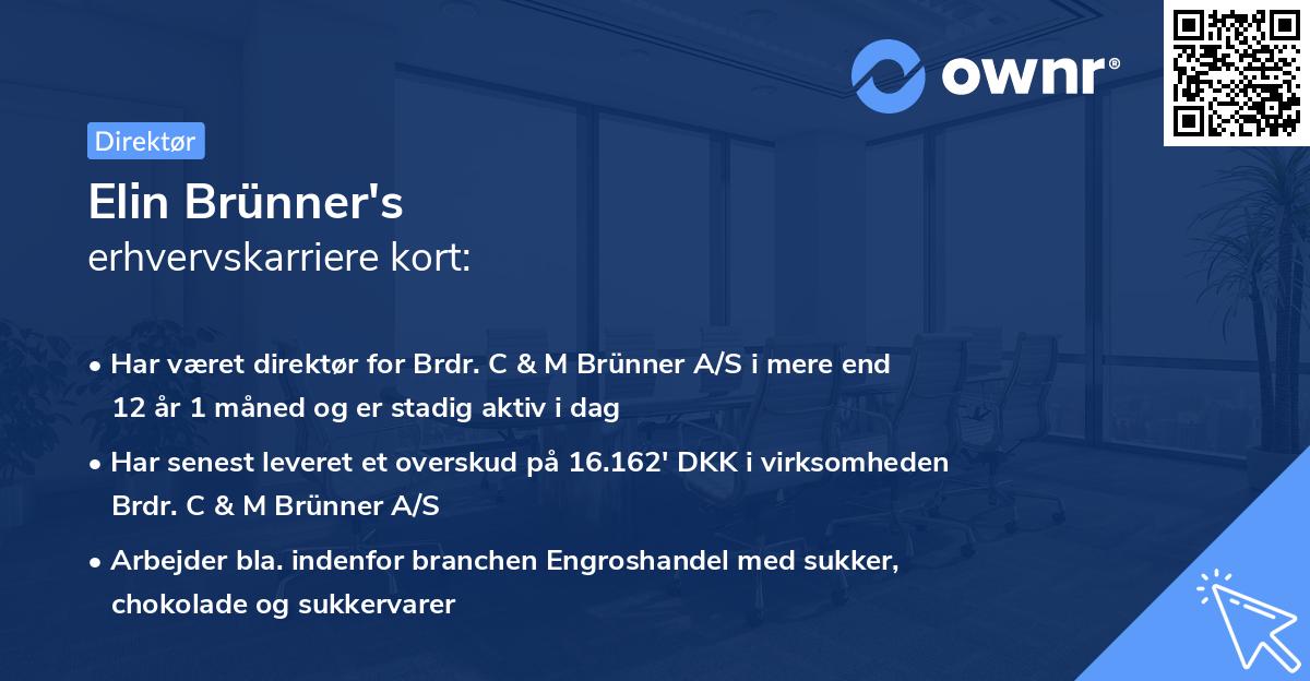 Elin Brünner's erhvervskarriere kort